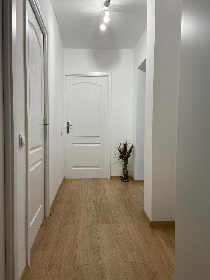 Daniela'S Apartaments Сигишоара Экстерьер фото