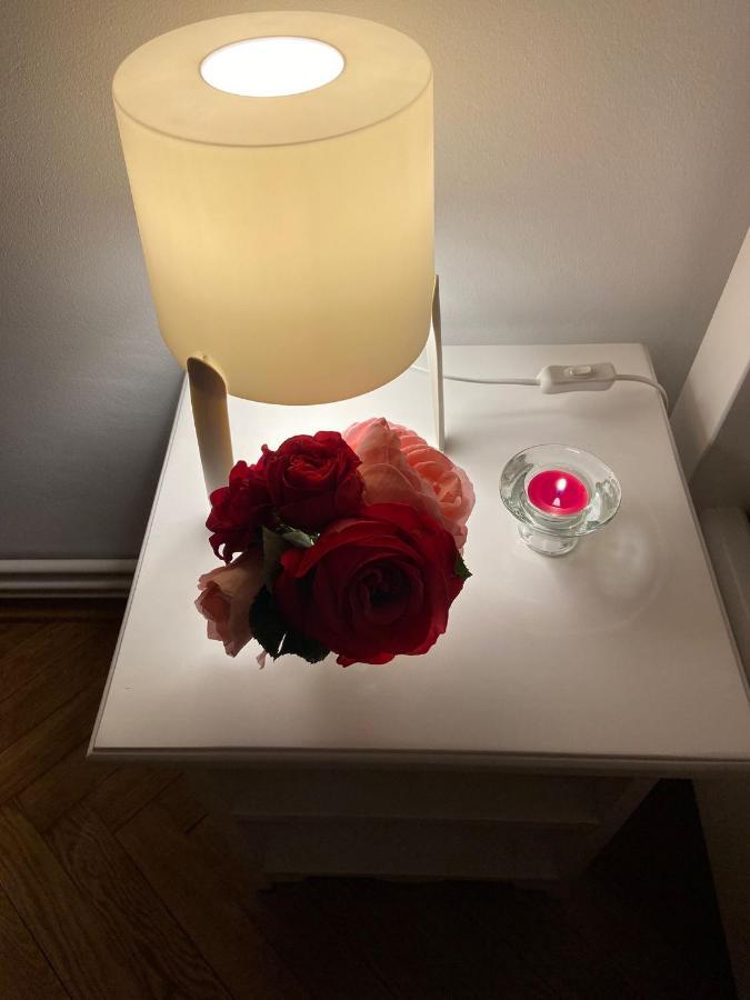 Daniela'S Apartaments Сигишоара Экстерьер фото